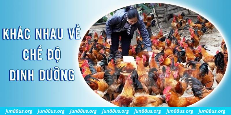 88cl xổ số miền nam thứ năm hàng tuần