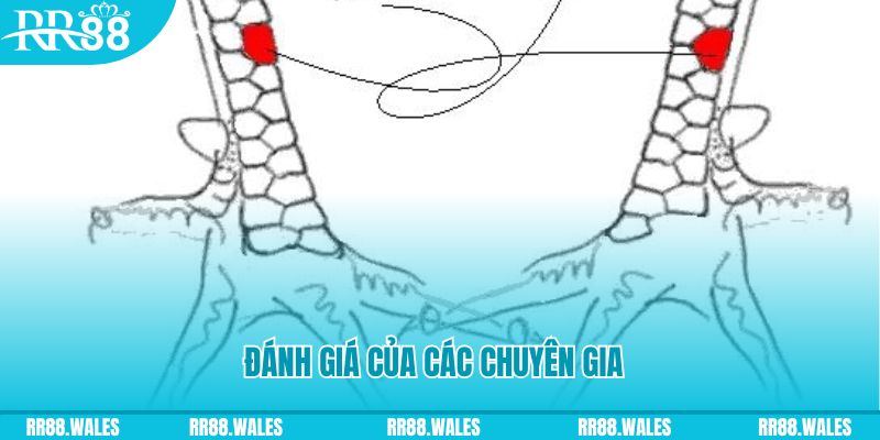 88cl V8 Game Bài 3d